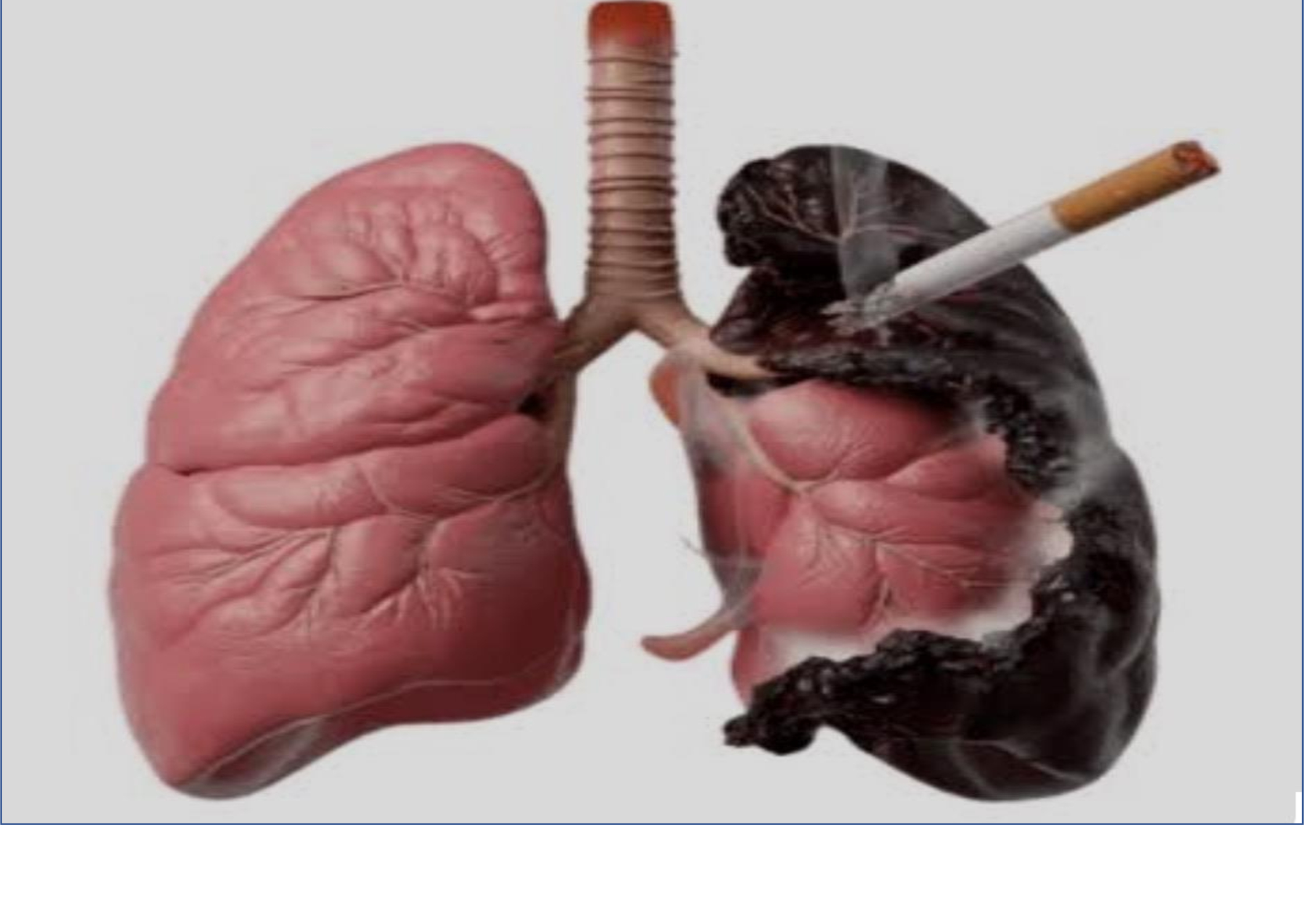 وعيك يصنع الفرق